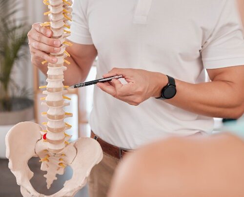 The Biomechanics of Chiropractic Work